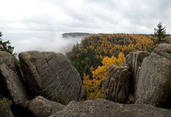 Mountain, forest, rock, Broumovsko