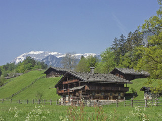 Daheim in Tirol