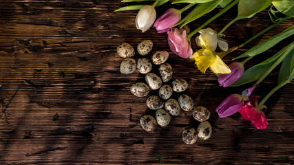Easter background, spring flowers and colorful Easter eggs on wood