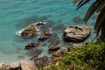 Sea view with rocks and plants