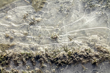 Frozen puddle in nature