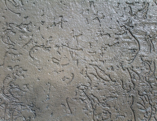 Painted mineral plaster as a background