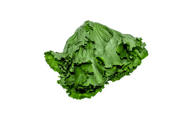 Lettuce on a white background