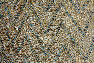 Ornament of small shells. Texture of small shells on the Rocky coast. Pattern