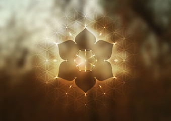 Template of banner, horizontal format; Spiritual sacred geometry; 