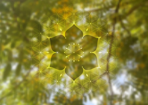 Template of banner, horizontal format; Spiritual sacred geometry; "Flower of life" and lotus on psychedelic natural forest photographic background; Yoga, meditation and relax.