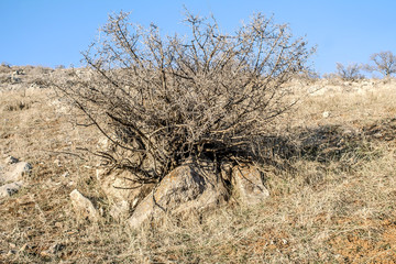 Rock stones in the mountains