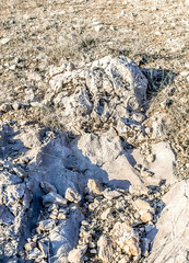 Rock stones in the mountains