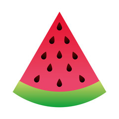 watermelon delicious juice sliced image vector illustration