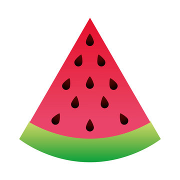watermelon delicious juice sliced image vector illustration