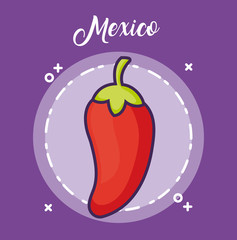 Mexico design with red chili over circular frame and purple background, colorful design. vector illustration