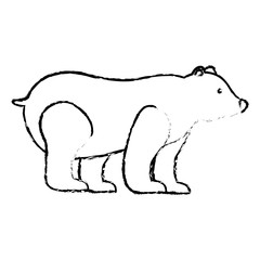 grizzly bear mammal wild side view vector illustration sketch