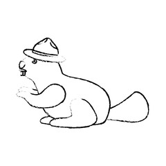 Fototapeta premium beaver with hat canadian mascot wildlife vector illustration sketch