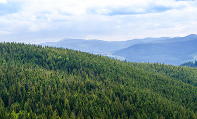 Carpathian mountains in summer