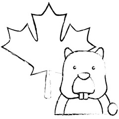 beaver rodent maple leaf canadian concept vector illustration sketch