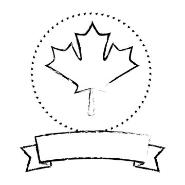 maple leaf canadian emblem banner vector illustration sketch