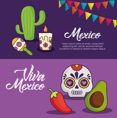 Infographic of viva mexico concept with cactus and avocado over purple background, colorful design. vector illustration