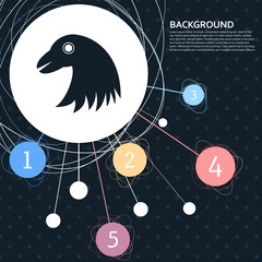 eagle icon with the background to the point and with infographic style. Vector