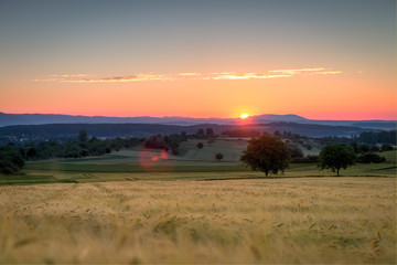 Naklejka premium Sonnenaufgang