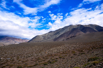 Fototapeta premium Desert