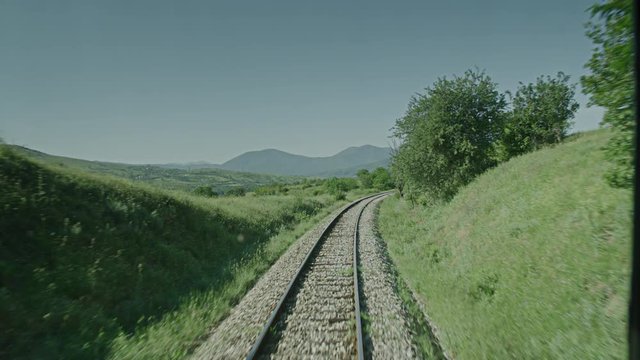 A train passing through some woods.