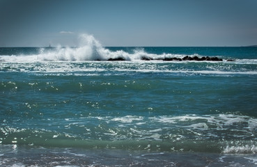 Fresh ocean landscape