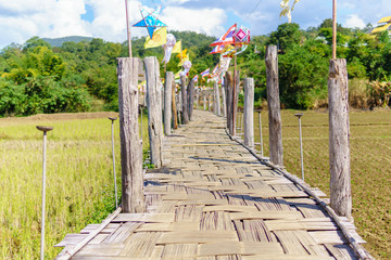 beautiful Rural bamboo bridge across the rice paddy fields with blue sky and fluffy cloud in sunny day at countryside.  Su Tong Pae Bridge,Mae Hong Son,Thailand.