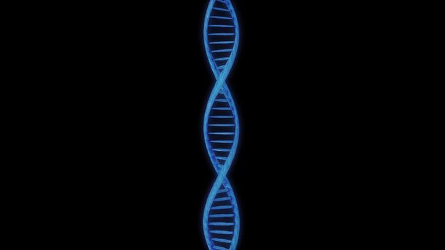 DIGITAL DNA VERTICAL HOLOGRAM 