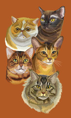 Postcard with cats-2