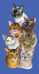 Postcard with cats-3