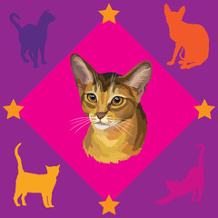 Seamless Pattern with Abyssinian Cat