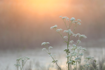 Рассвет на реке