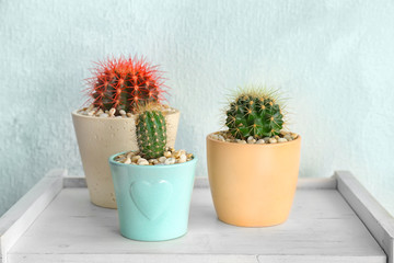 Beautiful cacti on wooden table