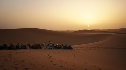 Sunrise of Sahara