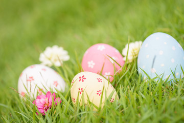 Happy easter!  Closeup Colorful Easter eggs in nest on green grass field during sunset background.