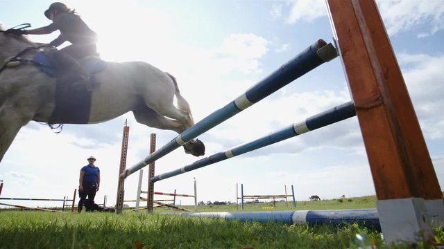 Horse jump over obstacle in slow motion 4K