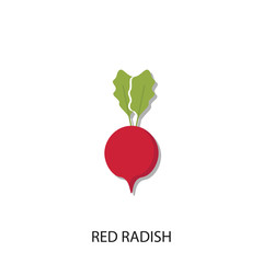 Red Radish Vector Template Design illustration