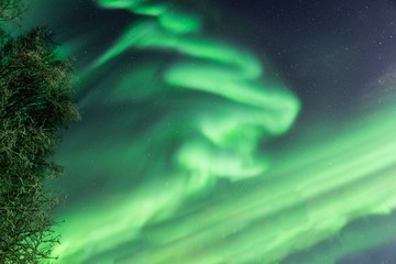 Intense aurora that looks like scribble in the sky