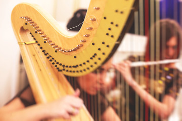Female musician harpist playing harp during symphonic concert, with other musicians in the...