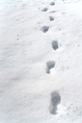 human footprints on the snow as background