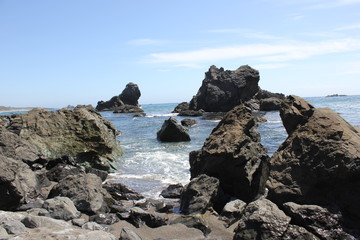 Fototapeta na wymiar Goat Rock Beach is located between Goat Rock Point and the Russian River along the Sonoma County shore near the town of Jenner. The Russian River, with its mouth at the north end of Goat Rock Beach.