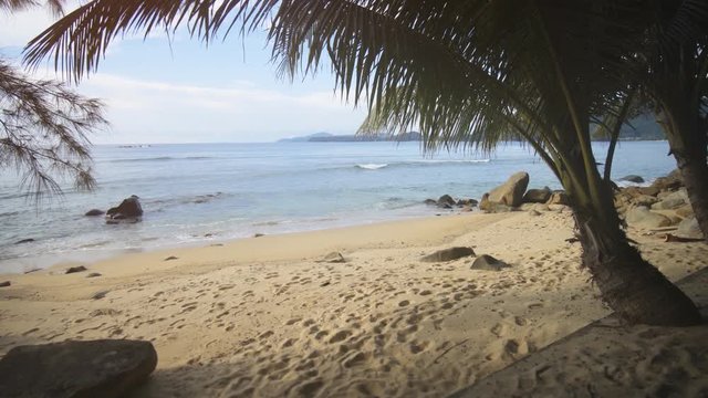 Exotic Tropical Beach with Palm Trees in Phuket, with Sound