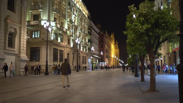 Avenida de la Constitucion at night