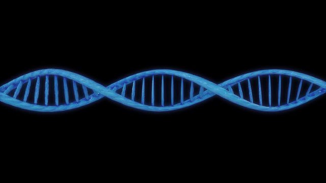 DIGITAL DNA HORIZONTAL HOLOGRAM 