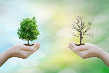 Ecology concept human hands holding big plant tree fresh and tree arid with world environment