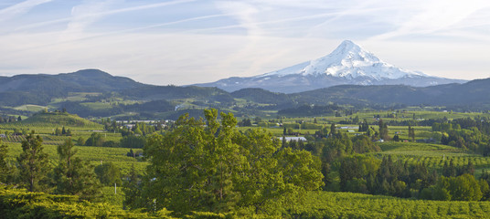 Mt. Hood and Hood River valley panorama.