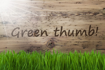 Sunny Wooden Background, Gras, Text Green Thumb