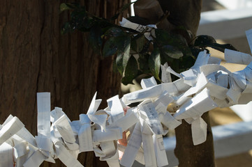 神社のおみくじ