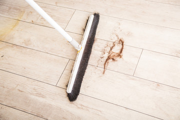 髪の毛を掃除する
