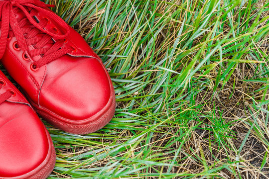 Stylish wallpaper with red sneakers and green grass. Season concept. Top view. Close up. - Powered by Adobe